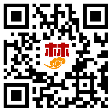 Hydraulic piston